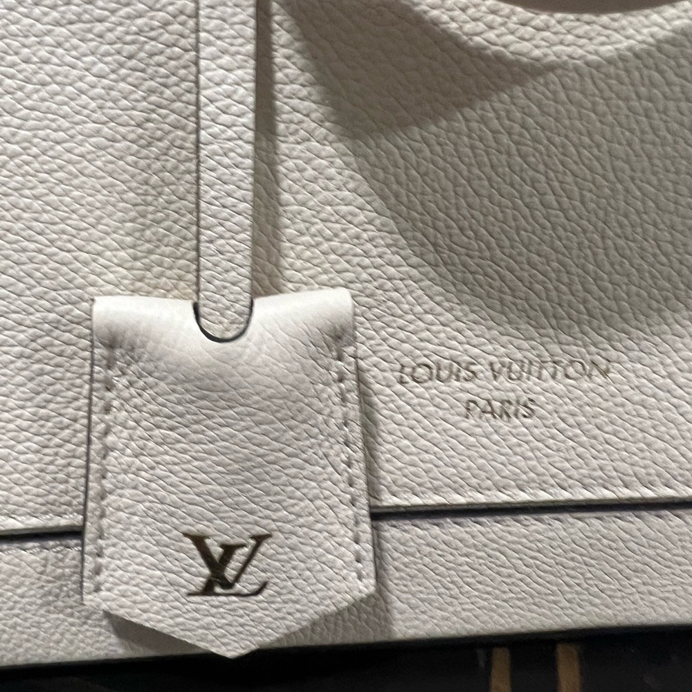 Louis Vuitton Alma PM SILHOUETTE NEW with tags Ready for spring ❌❌❌SOLD PARTY - Picture 2 of 13